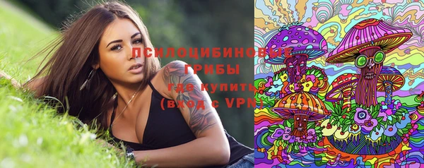 мяу мяу мука Алексеевка