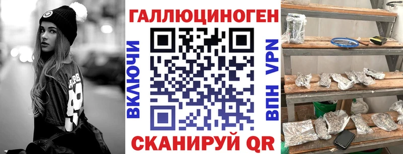 хочу Данилов Псилоцибиновые грибы MAGIC MUSHROOMS